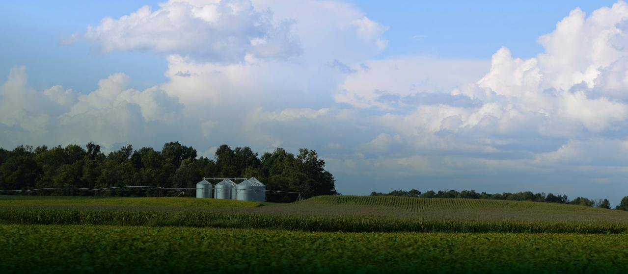 Foto assessor Verde - Jorge Silveira